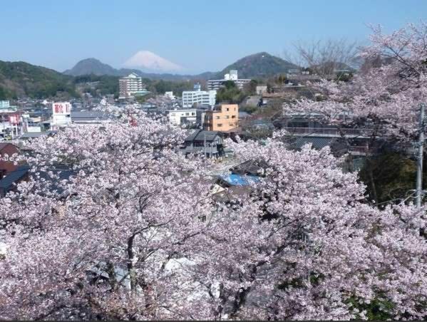 Kameya Ean Hotel Izunokuni Bagian luar foto
